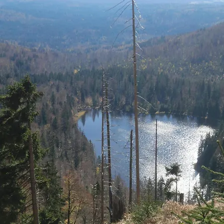Ferienchalets Zum Lebzelter Mit Sauna Und Whirlpool * Freyung